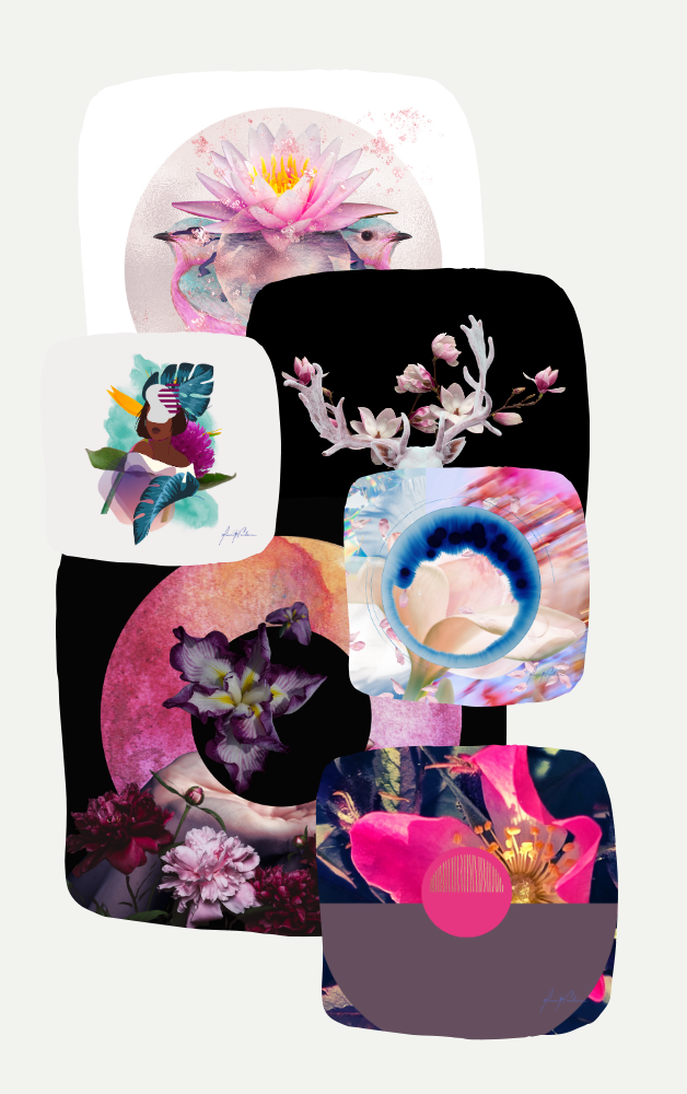 The Maiden Collection