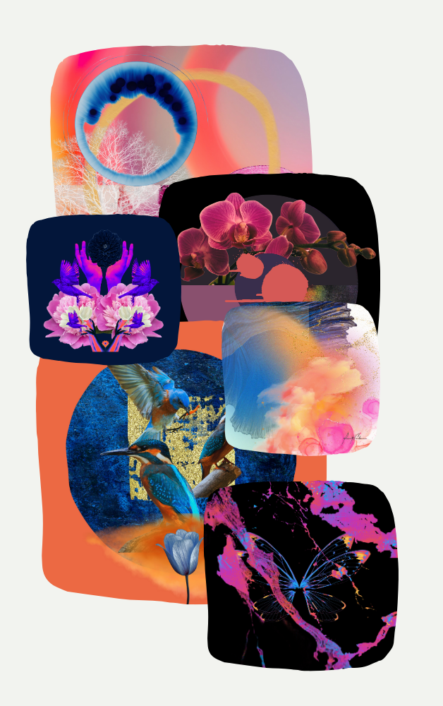 The Mage Collection